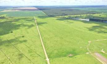 Imagem 7: VENDO FAZENDA REGIAO DE QUERENCIA -MT ( 6173