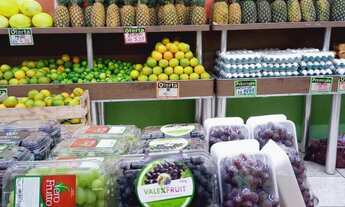 Imagem 6: Duque de Caxias, Ponto, Hortifruti, 100m2 com 20m2 girau, banheiro e com equipamentos