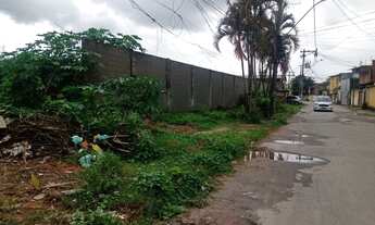 Imagem 2: Campos Elísios, Duque de Caxias, RJ, Terreno, todo plano, todo murado. 24.000m2