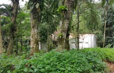 Imagem 5: Vendo sitio no bairro Ariró, área verde com muita tranquilidade, luz elétrica, água abund