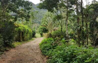 Imagem 7: Vendo sitio no bairro Ariró, área verde com muita tranquilidade, luz elétrica, água abund