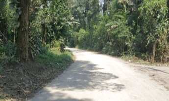 Imagem: Vendo sitio no bairro Ariró, área verde