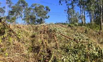 Imagem 6: TERRENO RESIDENCIAL em CAJAMAR - SP, SERRA DOS LAGOS (JORDANÉSIA