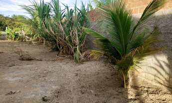 Imagem 4: CHACARA RESIDENCIAL em ARAPIRACA - AL, ZONA RURAL