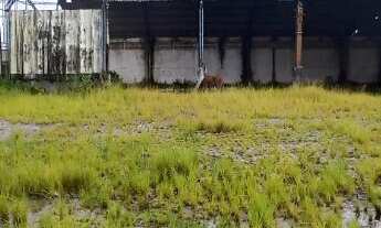 Imagem 5: GALPAO COMERCIAL em MACAÉ - RJ, BOTAFOGO