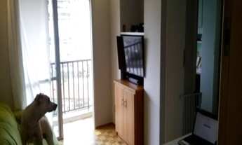 Imagem 6: 2 dormitórios na Rua Monsenhor João Felipo