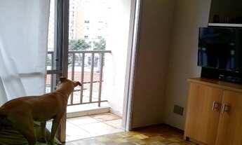 Imagem 4: 2 dormitórios na Rua Monsenhor João Felipo