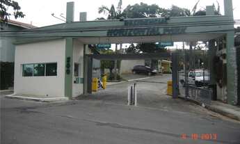 Imagem 3: Na Rua Anita Malfatti