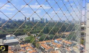 Imagem 5: 3 dormitórios na Rua Vicentina Gomes