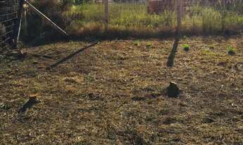 Imagem 4: Terreno de 230m² no Residencial Villaggio