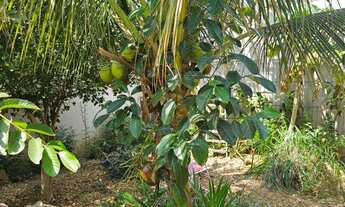 Imagem 5: CASA RESIDENCIAL em CUIABÁ - MT, BARRA DO PARI