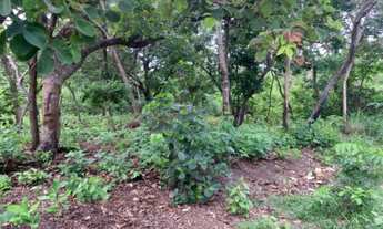 Imagem 6: TERRENO RURAL em SANTO ANTÔNIO DO LEVERGER - MT, Varginha Santo Antonio do Leverger