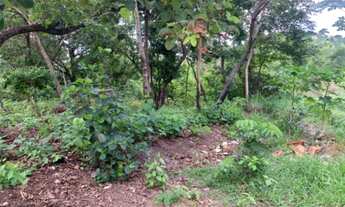 Imagem 7: TERRENO RURAL em SANTO ANTÔNIO DO LEVERGER - MT, Varginha Santo Antonio do Leverger