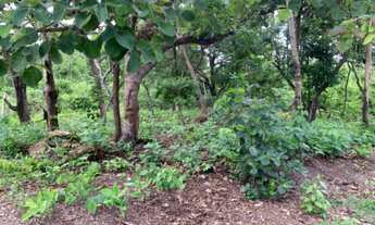 Imagem 5: TERRENO RURAL em SANTO ANTÔNIO DO LEVERGER - MT, Varginha Santo Antonio do Leverger