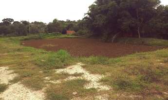 Imagem 2: CHACARA RURAL em CUIABÁ - MT, PEDRA 90