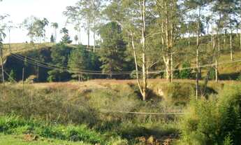 Imagem 5: Em Itapecerica da Serra - SP, BR 116