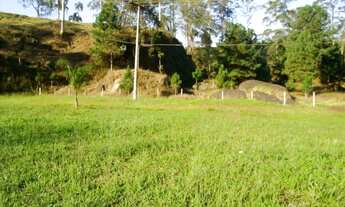 Imagem 7: Em Itapecerica da Serra - SP, BR 116