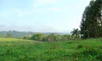 Imagem 4: Em Itapecerica da Serra - SP, BR 116