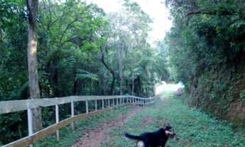 Imagem 7: Em Itapecerica da Serra - SP, BR 116