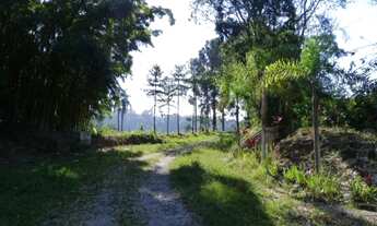 Imagem 1: Em Itapecerica da Serra - SP, ITAPECERICA DA SERRA