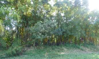 Imagem 4: Em Itapecerica da Serra - SP, ITAPECERICA DA SERRA