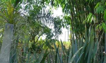 Imagem 5: Em Itapecerica da Serra - SP, ITAPECERICA DA SERRA