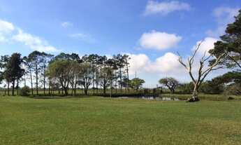 Imagem 2: Sitio em Rio Grande/ RS