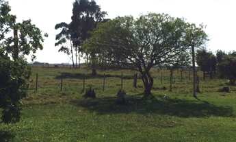 Imagem 4: Sitio em Rio Grande/ RS