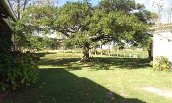 Imagem 5: Sitio em Rio Grande/ RS