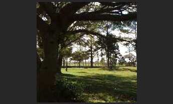 Imagem 6: Sitio em Rio Grande/ RS