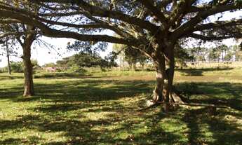 Imagem 7: Sitio em Rio Grande/ RS