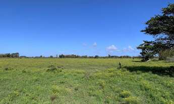 Imagem: Fazenda com 122 hectares em Palmares do