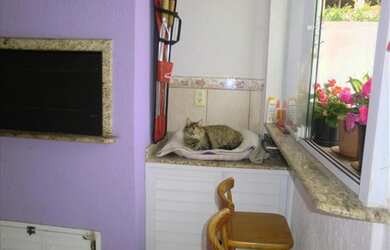 Imagem 5: CASA RESIDENCIAL em Florianópolis - SC, Ingleses do Rio Vermelho