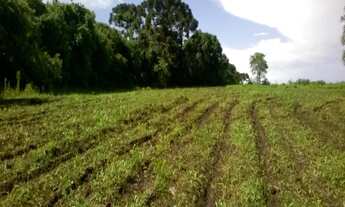 Imagem: SÍTIO em São José dos Pinhais - PR, Colônia