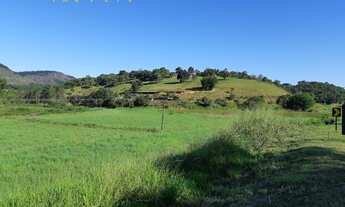 Imagem: Sitio à venda em Anchieta, 4 alqueires
