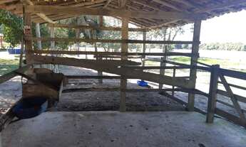 Imagem 7: Chácara à Venda em Guarapari, 20.000 m² em Jabuticaba