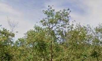 Imagem 2: Terreno/Lote à venda em Guarapari/ES, 700m², Nova Guarapari