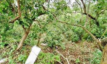 Imagem 7: Terreno/Lote à venda em Guarapari/ES, 700m², Nova Guarapari