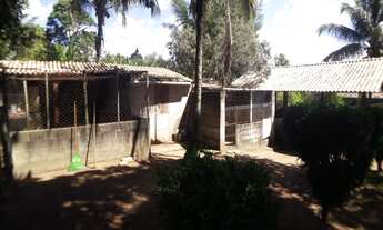 Imagem 7: Chácara a venda em Guarapari, 12.000 M2 em Jabuticaba