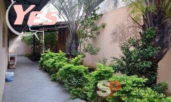 Imagem 3: Galpão para locação na Vila Guilhermina