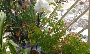 Imagem 4: Imperdível: Apartamento de 3 quartos com suíte e 2 vagas na Vila Medeiros, São Paulo! 83m²