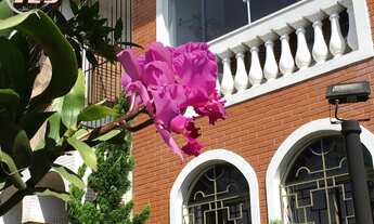 Imagem 4: Sobrado para venda na Vila Formosa