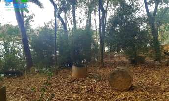 Imagem 4: LOTE DE 1000 M² NA ORLA DA LAGOA DA PAMPULHA - BANDEIRANTES