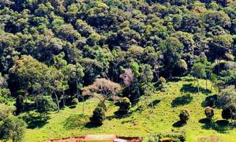 Imagem 7: LINDO SÍTIO DE 18 HECTARES, EM BOCAINA DE MINAS, COM MUITA ÁGUA E LINDA MATA