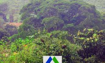 Imagem 5: LINDO SÍTIO DE 18 HECTARES, EM BOCAINA DE MINAS, COM MUITA ÁGUA E LINDA MATA