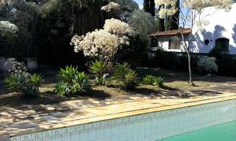 Imagem 6: BAIRRO BANDEIRANTES, LOTE 1000M2, PLANO, MURADO, POMAR, PISCINA, ÁREA GOURMET