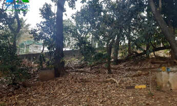 Imagem: LOTE DE 1000 M² NA ORLA DA LAGOA DA PAMPULHA