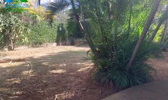 Imagem 7: ALUGUEL DE CASA COM 03 QUARTOS, BANHEIRO SOCIAL, SALA, COZINHA, NO BAIRRO BANDEIRANTES - P