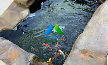 Imagem 4: MARAVILHOSA MANSÃO BANDEIRANTES, LINEAR, 03 SUÍTES, PISCINA COM CASCATA, LAGUINHO COM CARP