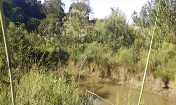 Imagem 7: Sitio com 4.500 metros na parada 76 da RS-20 com açude.. Localizado no Loteamento Palermo